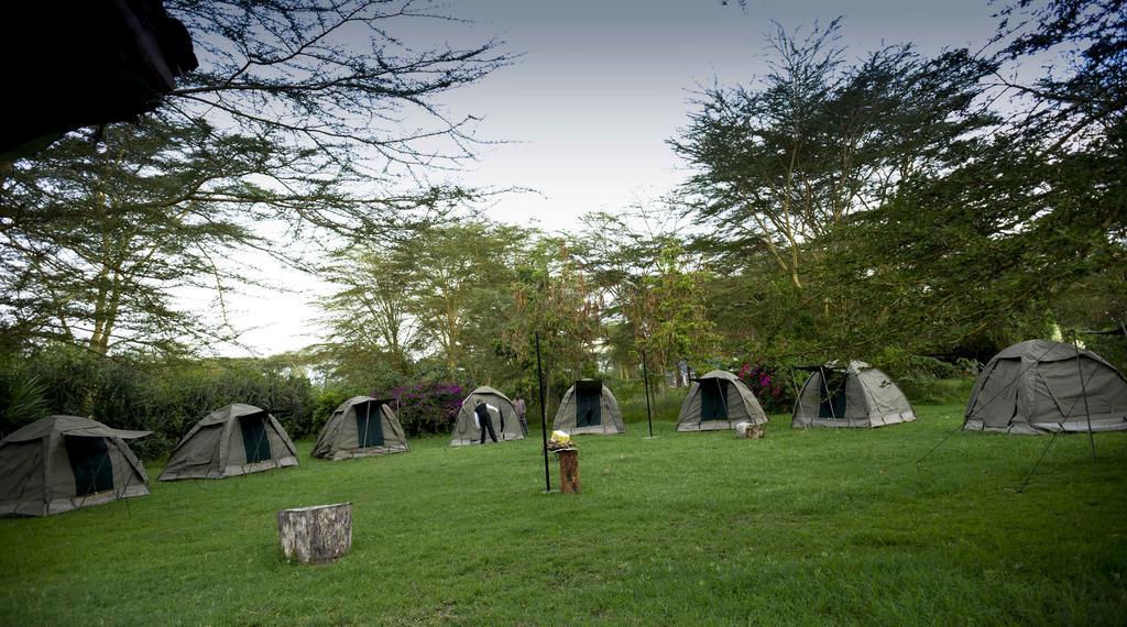 Burch's Resort Naivasha