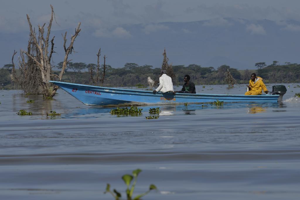 Burch's 3* Naivasha