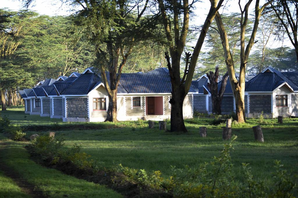 Burch's Naivasha